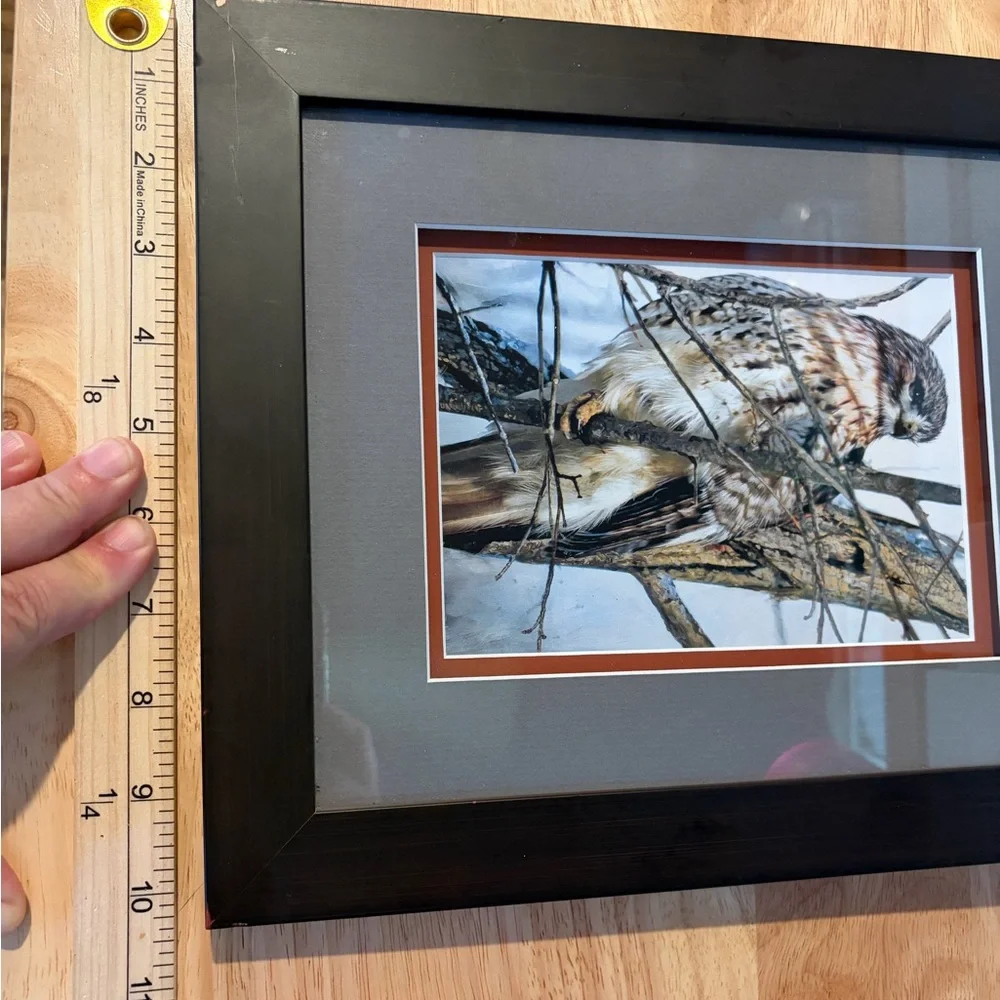 Red Tail Hawk on a Limb Double Mat Framed Art Print Size 12”x10” Nature Wildlife - Picture 4 of 6